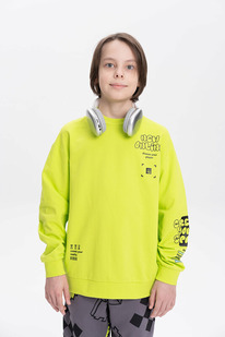 Pelican    BFN3369/1 