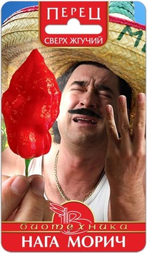 ����� ����� ������ ���� �����