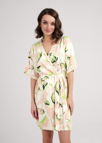 Clever   CLE LX25-1111 /.