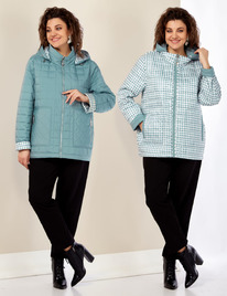 ����� ������ SHETTI 2182 ������