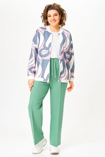 ����� ����� Swallow 801.1 ����