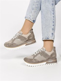 ���� ������� ������ ������� (696-154-11-18)