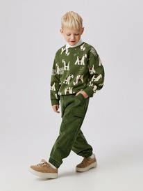 13.01 Acoola ����� (����������) ������� ��� ��������� Salas 20120160438 ����