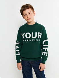 13.01 Acoola ������� ������� ��� ��������� Edgar 20130310019 �������