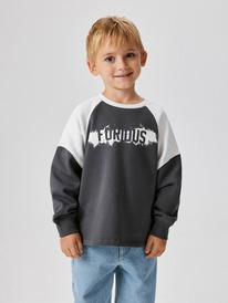 13.01 Acoola ������� ������� ��� ��������� Richards 20120170197 ��������-�����