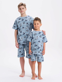 13.01 Pelican ������ ��� ��������� NFATH3371U �������