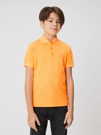 Acoola �������-���� ������� ��� ��������� Palau 20130490002 ���������