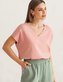 �������� � V-������� � ������������� ������� �� ������������ ������