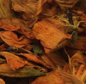 ����� ������ 50 ��