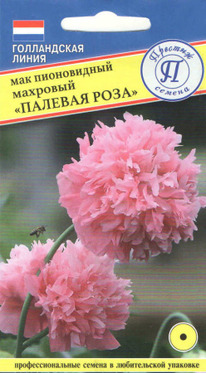 ��� �������� ������� ����