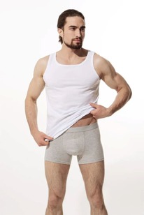 ����� ALMANDO MELADO 1900M-10050.1L-921 �����|188-