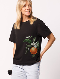 Vilatte �������� �� ���������� ������������ ������� � ������� ������� D49.019 ��