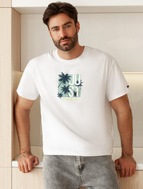 Vilatte ��������� ��������  � ��������� ������� U49.048 �����_just