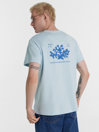 Mark Formelle �������� ������� 111773 111773 ���� -������� +������ 79880