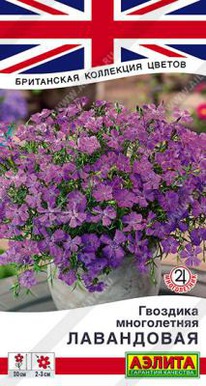 ���������� �������� �����������