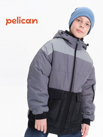 Pelican �������� ��� ��������� BZJC3369 �����