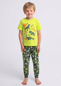 Clever �������� ���. CLE 909533��_� ������/��.������