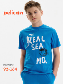 Pelican �������� ��� ��������� BFT3389/2 ��������