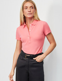 Vilatte ��������-����  �� ������������ ������ D49.087 ������