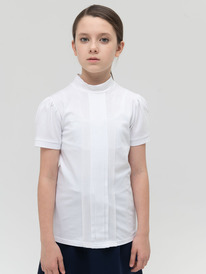 Pelican �������� ��� ������� GFTS8139 �����