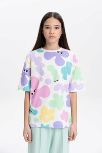 Pelican �������� ��� ������� GFT3369/5 ��������