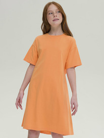 12.04  Pelican ������ ��� ������� GFDT4317/1 ���������