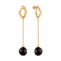 ������ �� ���������� ������� � ����������� ������ 925 ����� 2200551201