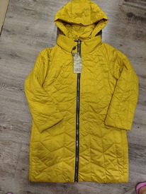 ������ ���