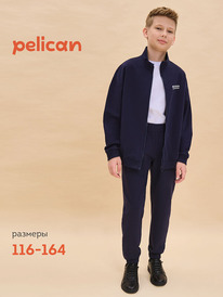 22.04 Pelican �������� ��� ��������� BFAXP7018U �����