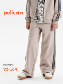 22.04 Pelican ����� ��� ��������� BFPQ3389U ������-�����