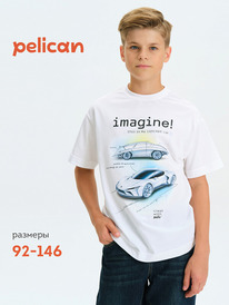 08.04 Pelican �������� ��� ��������� BFT3377/5 �����