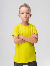 08.04 Bodo �������� 113-��6�� 113-��6�� ���������