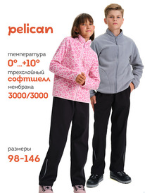 12.04  Pelican ����� ������� UZPS3376 ������