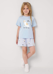 12.04  Clever ������ ������� CLE 909527��_� �������