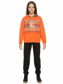 12.04  Pelican �������� ��� ������� GFANP4871 ���������