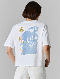 14.04 Mark Formelle �������� ������� 112862 112862 ����� +������29 143494