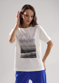 �����  Clever �������� ������� ��� ���� CLE LF25-1163 ��������