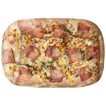 ZOTMAN ����� ��� ��������� 20�30 ��, ���������