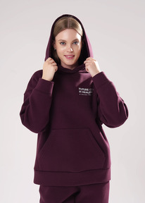 21.04 Clever ���� ������� CLE LH15-106 �.��������