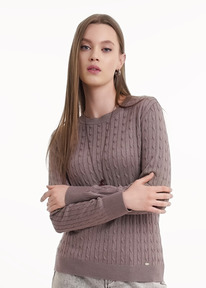 21.04 Clever ������� ������� CLE 154530/184�� �������