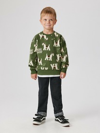 22.04 Acoola ����� ��������� (����������) ������� ��� ��������� Don 20120440098 