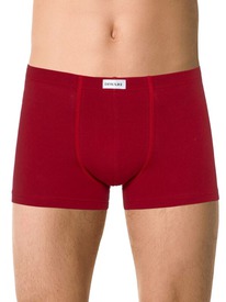 22.05 DiWaRi ����� ������� DIWARI BASIC MEN MSH 2127 20�-1073��� dark red (�����