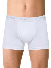 22.05 DiWaRi ����� ������� DIWARI BASIC MEN MSH 2147 20�-1076��� white MSH 2147 