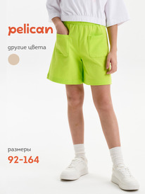 01.06 Pelican ����� ��� ������� GFH3369U ���������