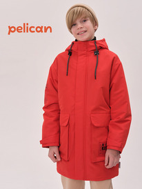 01.06 Pelican ���� ��� ��������� BZRM3371 �������
