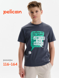 01.06 Pelican �������� ��� ��������� BFT3389/1 �����