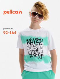 01.06 Pelican �������� ��� ��������� BFT3389 �����