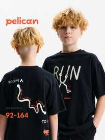 01.06 Pelican �������� ��� ��������� BFT3388/6 ������