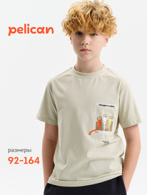 01.06 Pelican �������� ��� ��������� BFT3388/3 �����