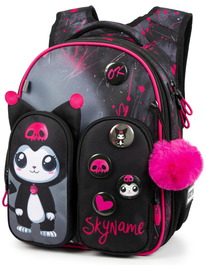 02.07 SkyName ������ SkyName R9-16 + ������ ����� + ������ R9-16